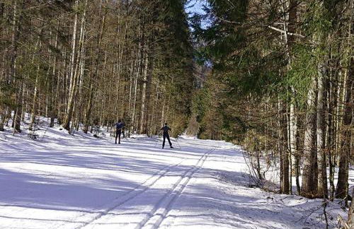 Ferienwohnung Bettina - Foto 18
