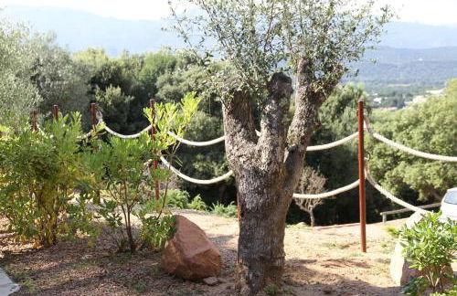 Residence a Licetta - Foto 109