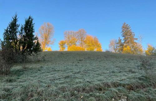 Ferienwohnung Aussicht, Monheimer Alb, Altmühltal - Foto 65