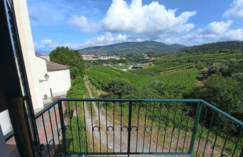 Al VIgneto - Foto 42