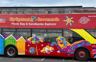 Good Vibes - Foto 29