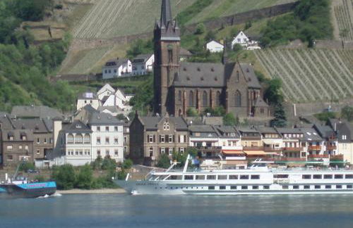 Weingut Nies - Foto 21