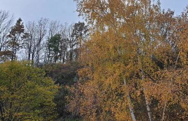 Ca l'ESTRELLA - Foto 52