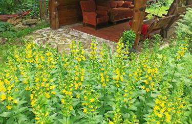 GÓRNA VIBES - Foto 30