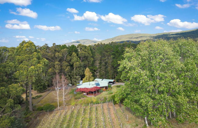 Blissful Birchs Bay - Foto 56