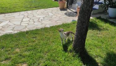 House for 5 people 10 min from Mill of Elves - Foto 5