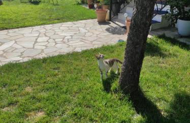 House for 5 people 10 min from Mill of Elves - Foto 5