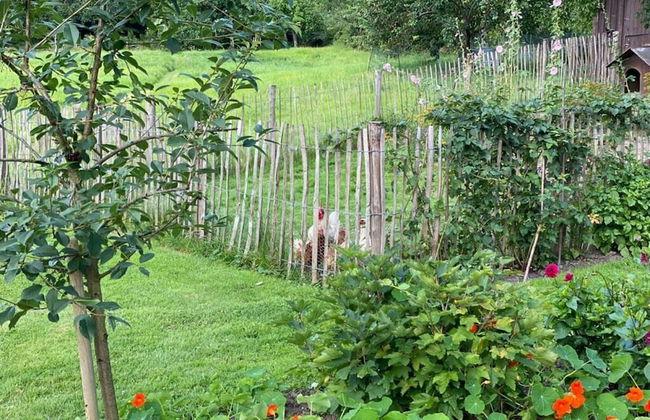 Art Nouveau Villa am See - Foto 30