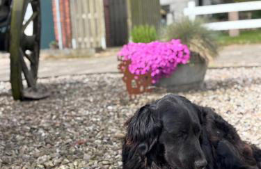 Gut Bennewohld - Photo 68