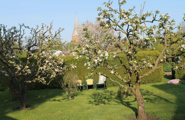 Wohnung mit Grossem Garten an der Ostseekuste - Foto 20