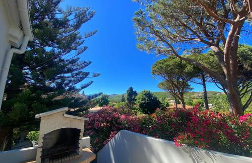 Domaine U Pozzu - Foto 28