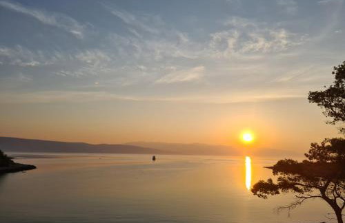 Apartments Habek 1 - Foto 37