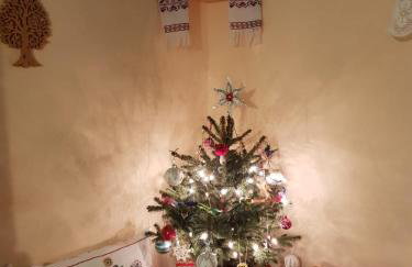 Zielony Domek Plutycze - Foto 42