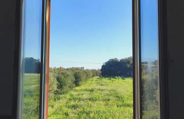 Porta Sugli Ulivi - Foto 33