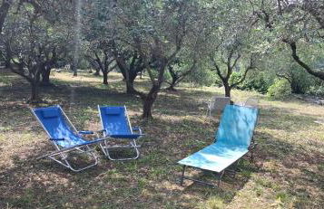 La Garbatella - Foto 14