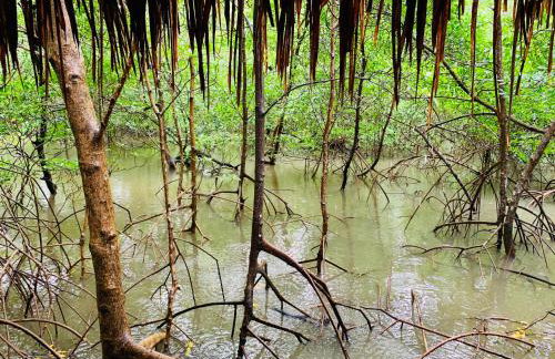 FM Retreat Algodoal - Foto 20