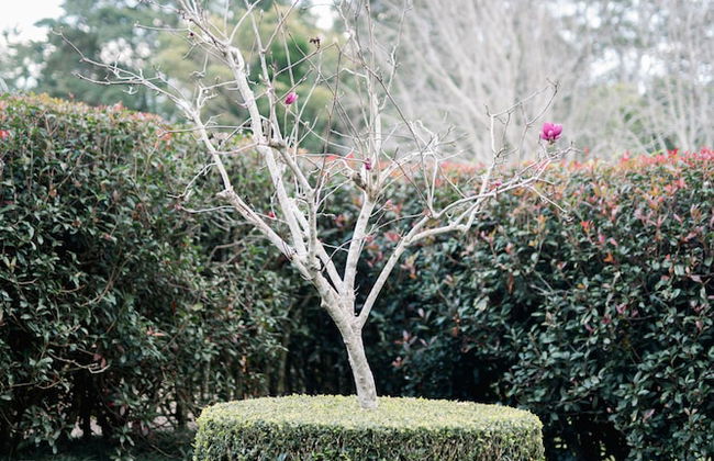 Shambala Estate - Photo 16