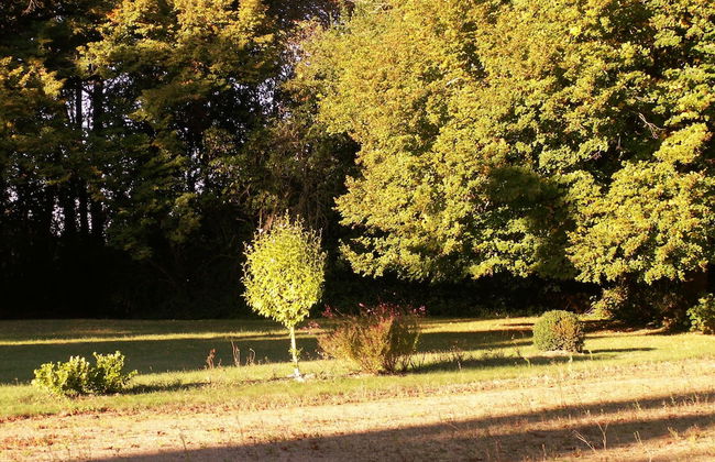 Château de la Court d'Aron - Foto 30