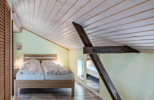 Fluss aufwärts - Photo 5