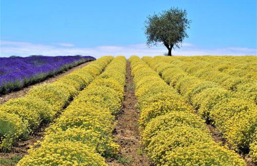 Infinite blue Horizon Elegance Hospitality - Photo 46