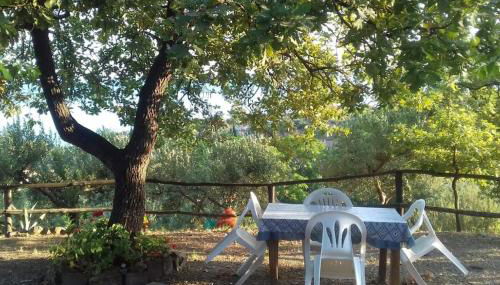 Lo Chalet di Ingrid - Foto 5, Garden, Garden view