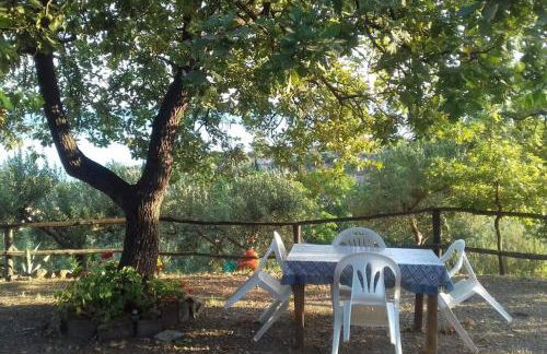 Lo Chalet di Ingrid - Foto 5