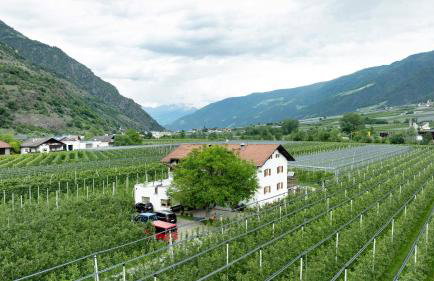 Bauernhof Sackgut - Foto 34