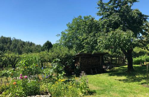 Czytelnia w Sadzie - Foto 35