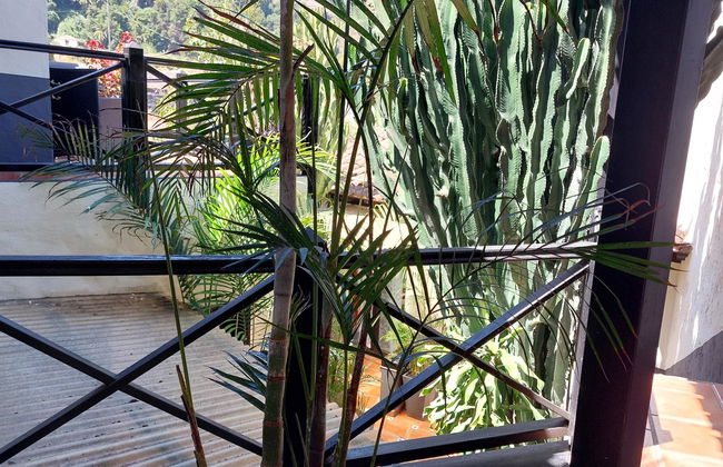 Apartamentos Monasterio de San Antonio - adults only - Photo 20