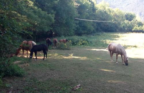 Casa Petra y Armando - Foto 34