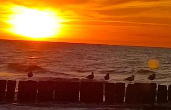 R&R Mielno Domki Letniskowe - Foto 37