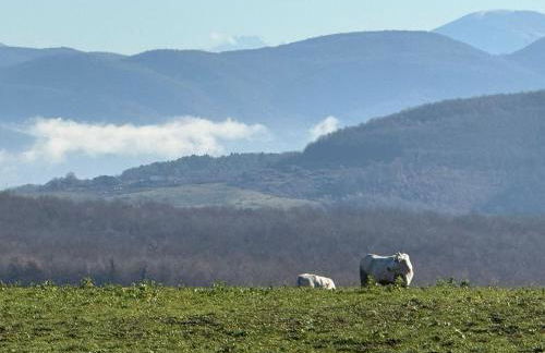 Abbazia San Pietro in Valle - Foto 36