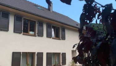 Les Hirondelles - Foto 3