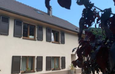 Les Hirondelles - Foto 3