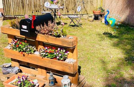 Fun Franz for 6 Persons - Foto 12