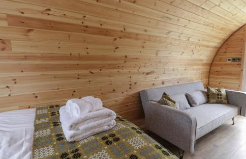 Dysynni Pod - Foto 9