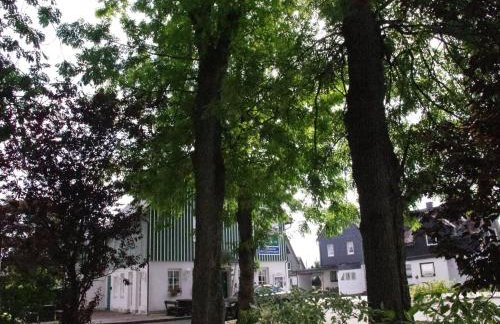 Winterberg Gruppenhaus mit Sauna ideal für Familien & Freunde - Foto 46