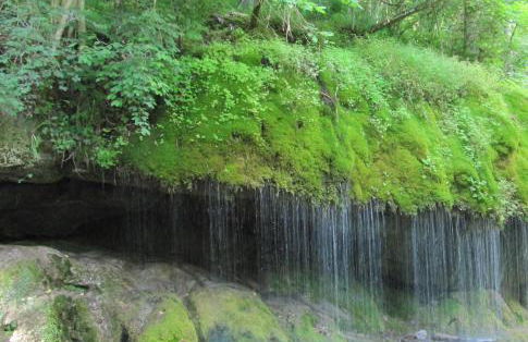 Rötenbacher Wiesen - Foto 23