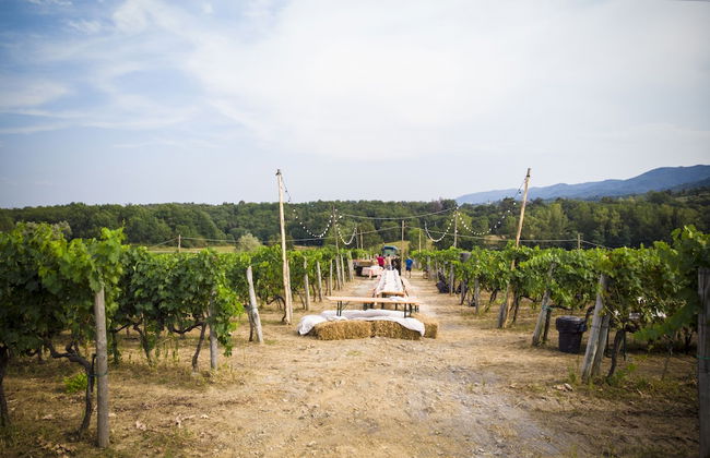 Palagina la cascina - Foto 52