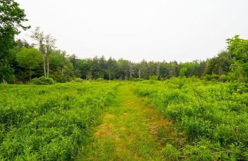 Berkshire Vacation Rentals: Private Cabin On Over 12 Acres Of Woods - Foto 31