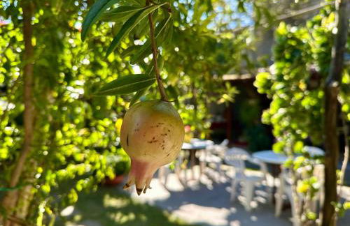 Tatu Do Bem Hospedagem - Photo 16