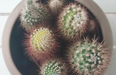 Wave Resort - Photo 30