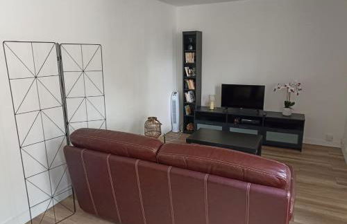 Maison à 20 min de Paris et liaison CDG (transports à 5 min à pied) - Foto 33