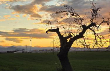 Casa Vacanze Maurella - Photo 21