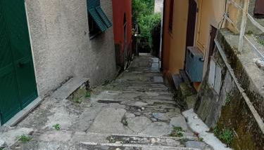 La Ciliegia - Foto 2