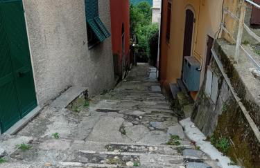 La Ciliegia - Foto 2