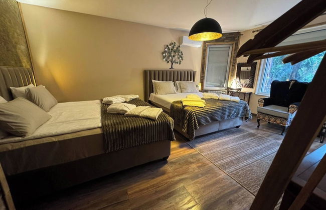 Villa Boyana City & Relax - Foto 4