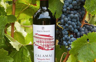 Tenuta Tralice - Foto 18