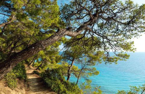 Sani villa of traditional architecture - Foto 52