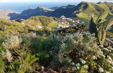 La Casita de Omar en el corazón de Anaga y La Laguna - Foto 57